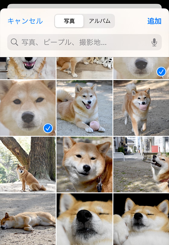 Canvaで印刷する写真をアップロード