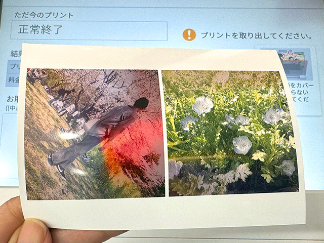 セブンイレブンのマルチコピー機で分割プリント「ましかく・2分割」に印刷した写真